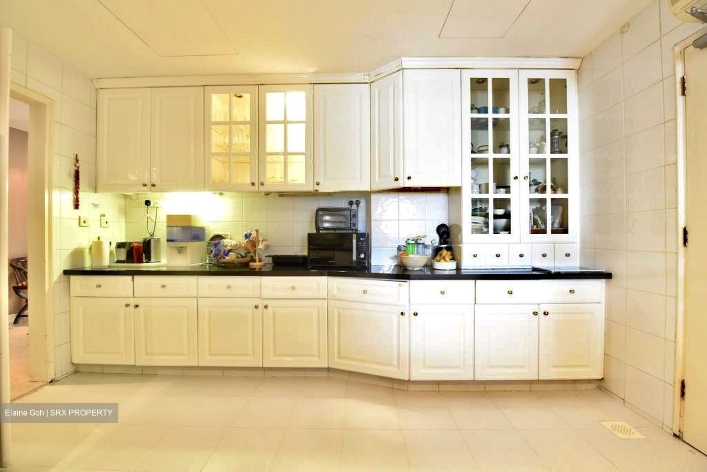 Regency Park (D10), Condominium #393993221